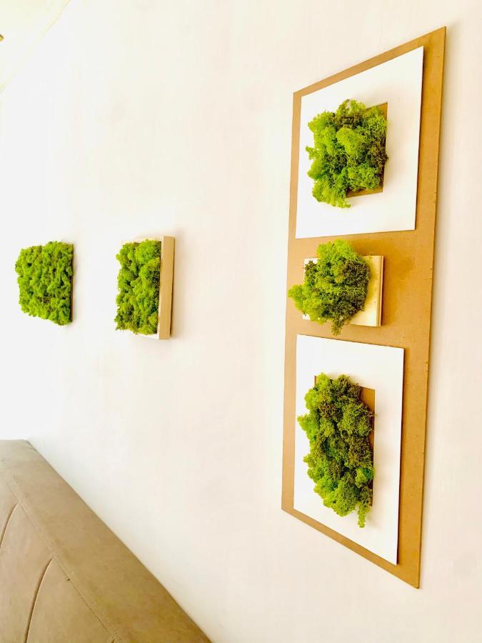 Plant House Eur Holiday home Rome